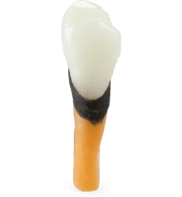 Product thumbnail 1