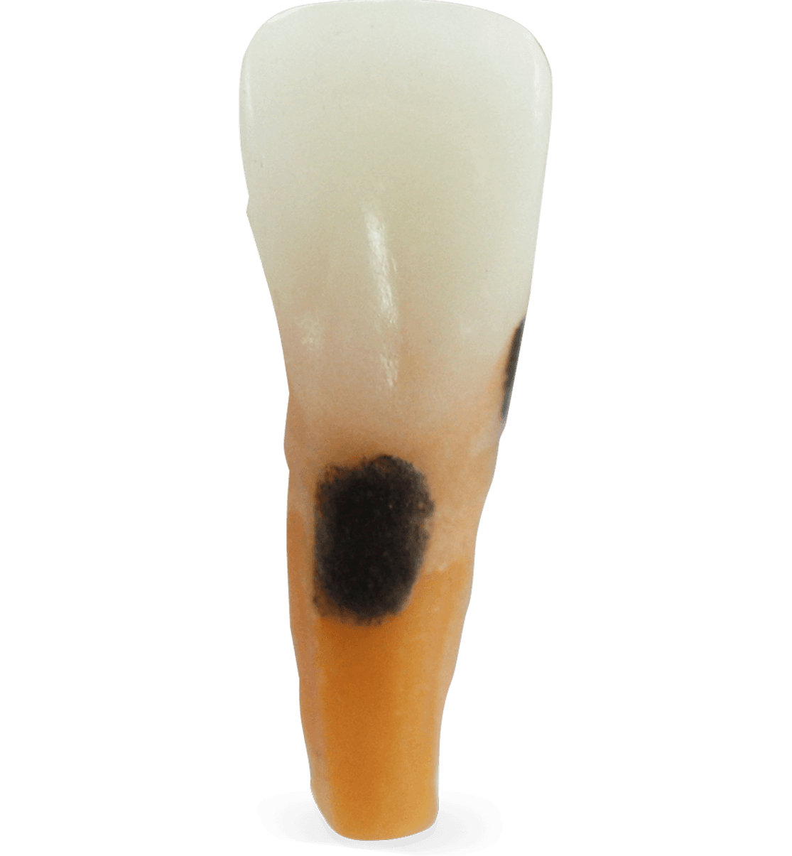 Selected product image