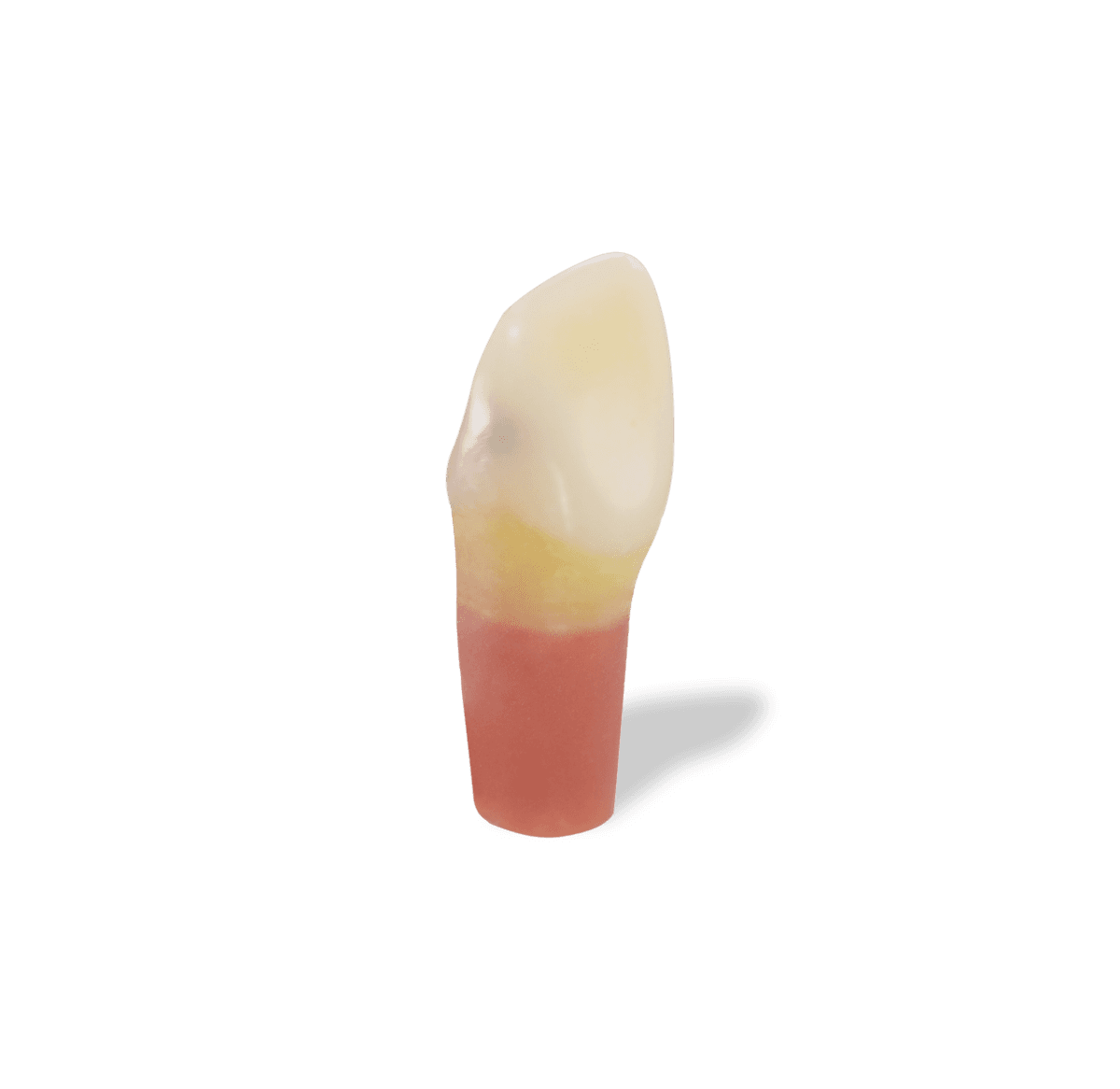 Selected product image