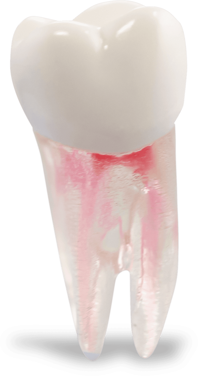 Selected product image