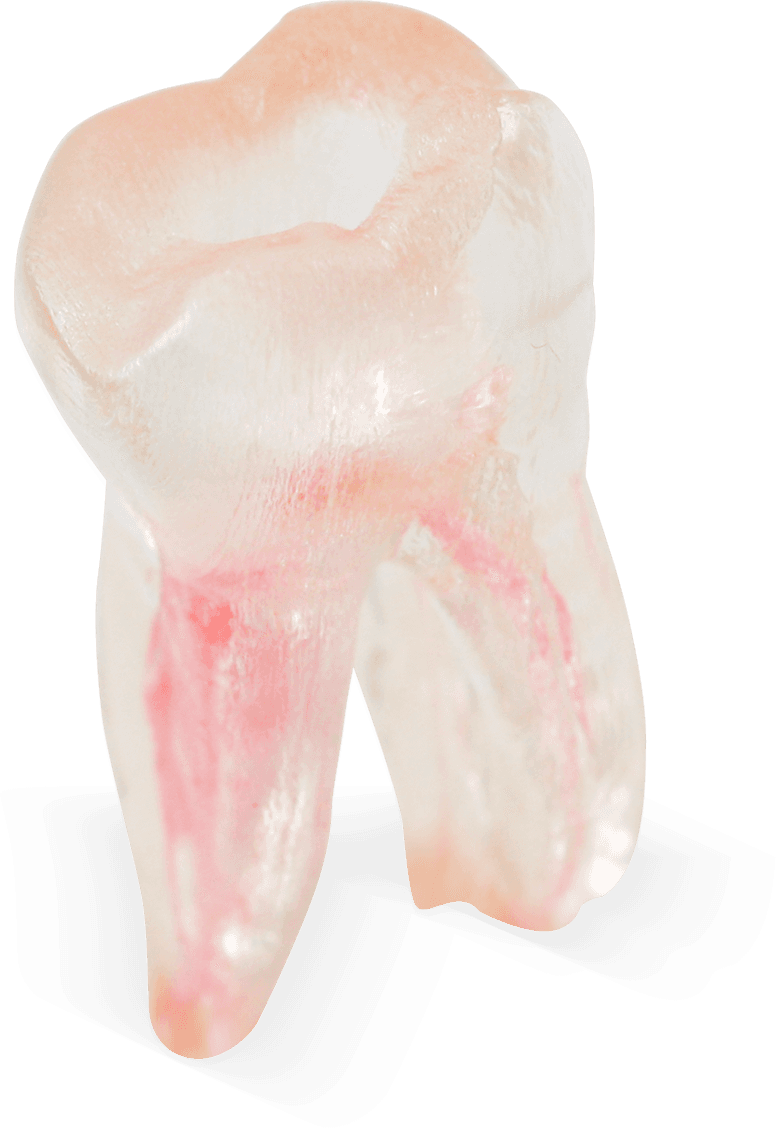 Selected product image