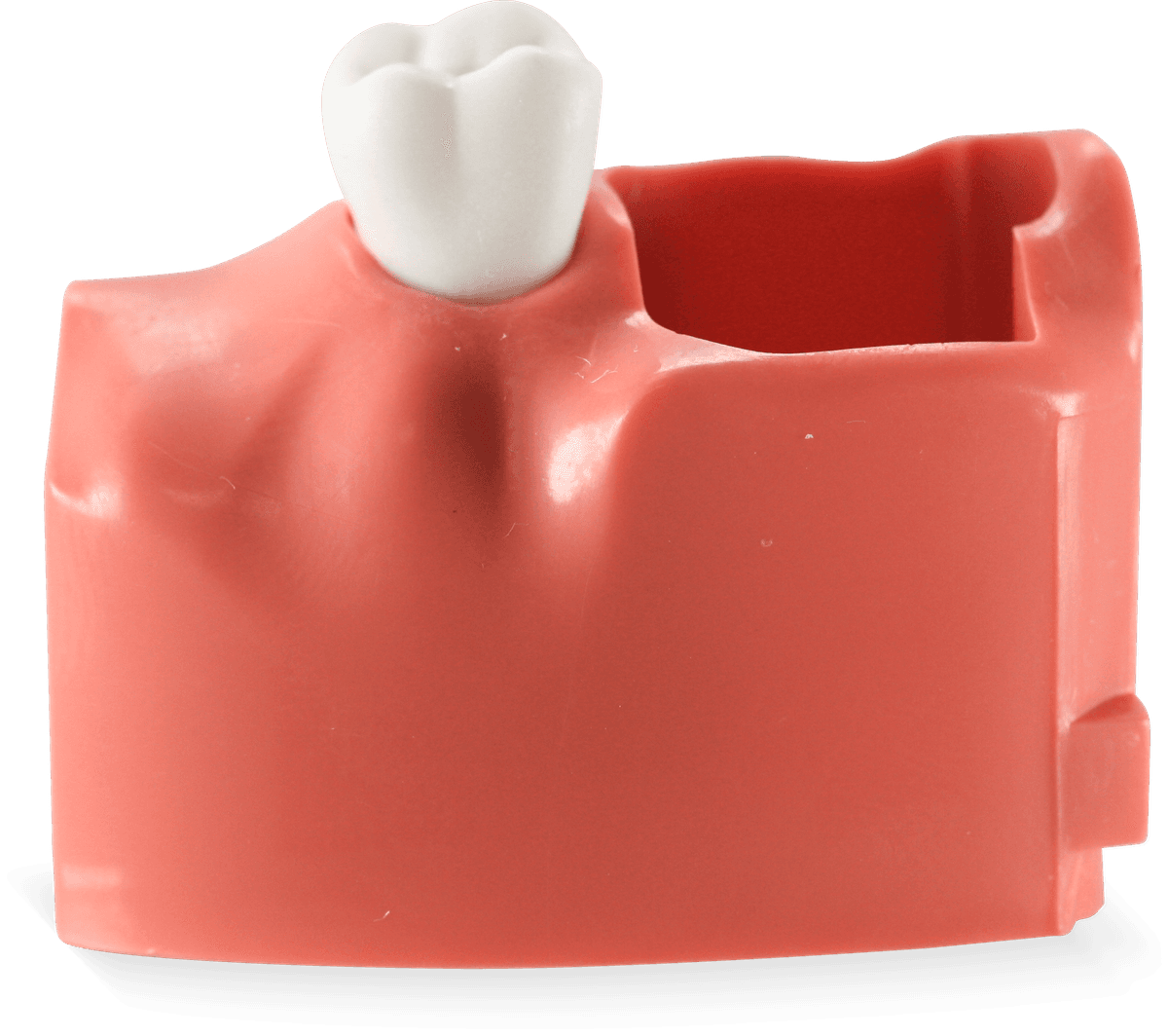 Selected product image