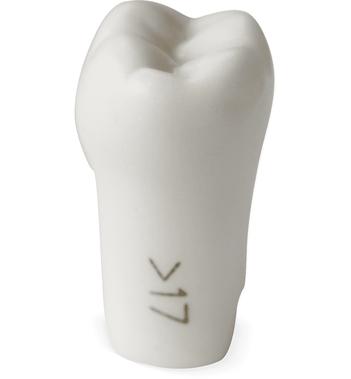 Selected product image