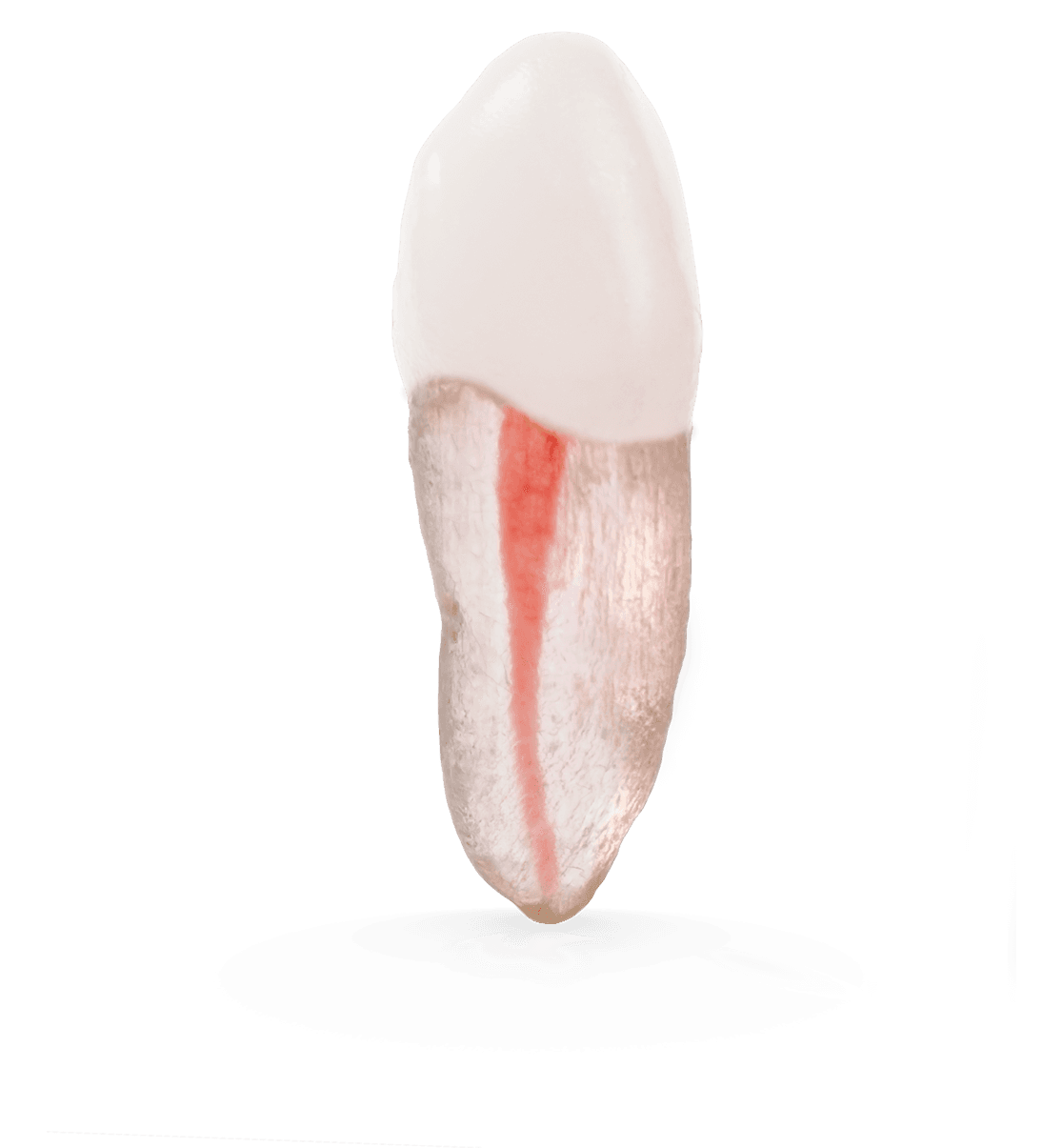 Selected product image