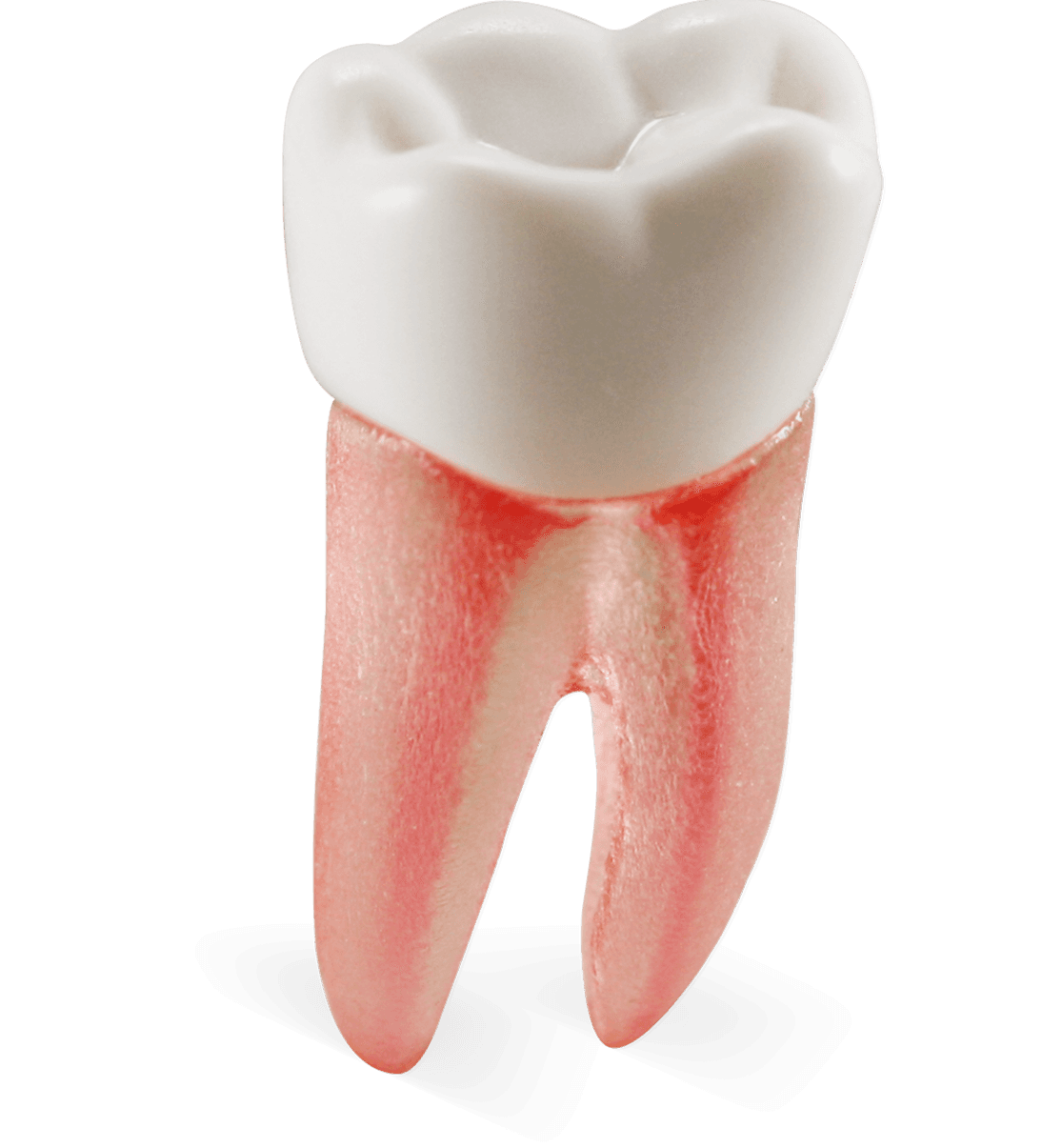 Selected product image