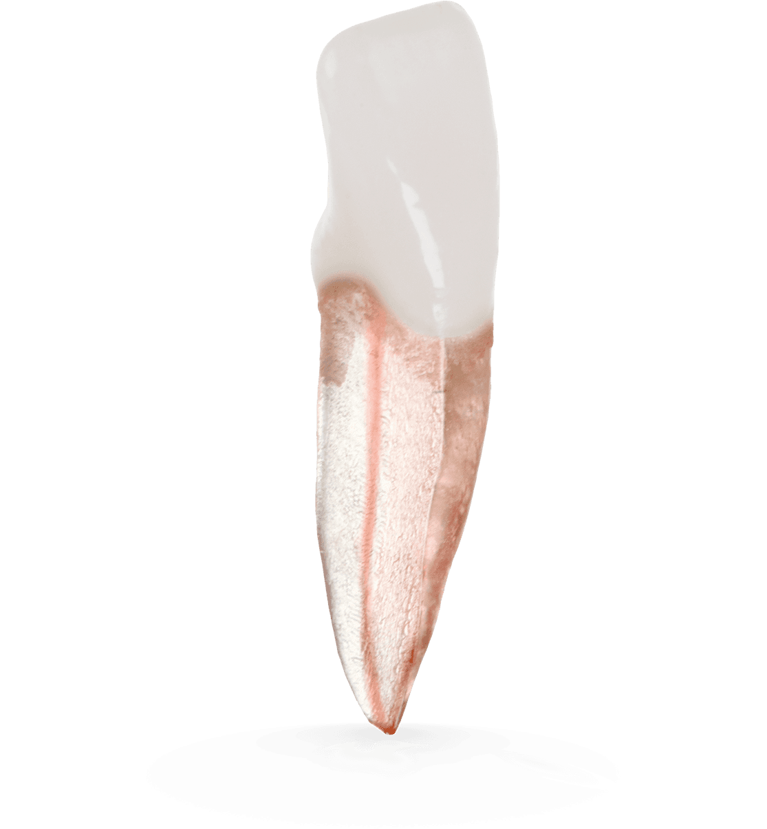 Selected product image