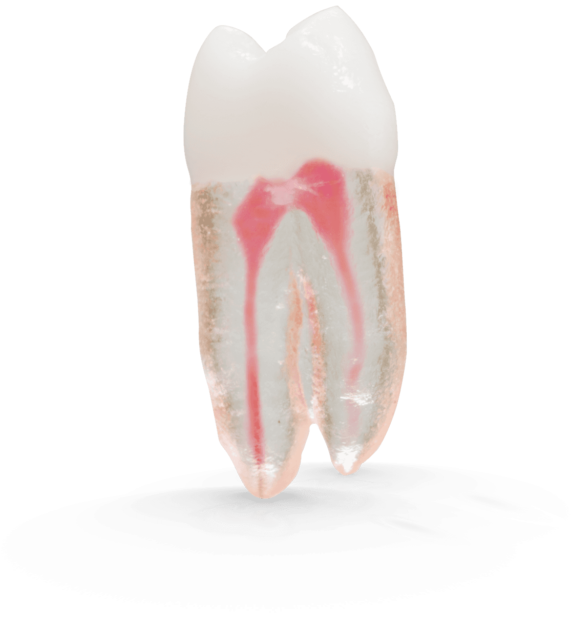 Selected product image