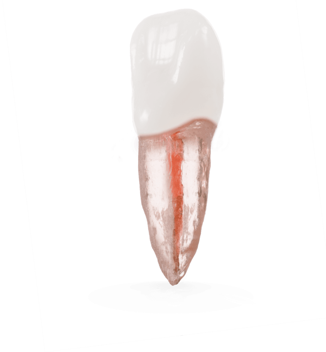 Selected product image