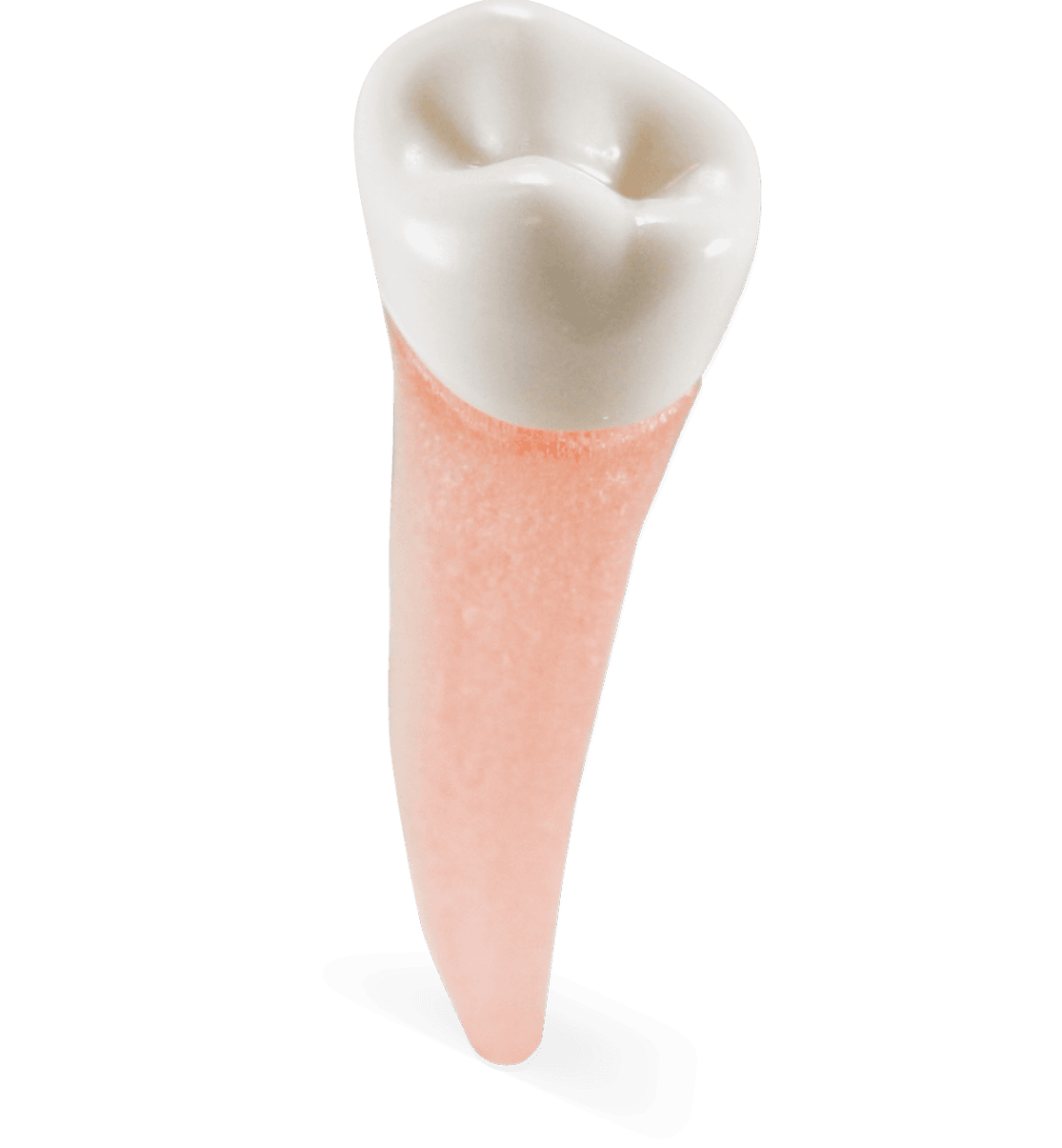 Selected product image