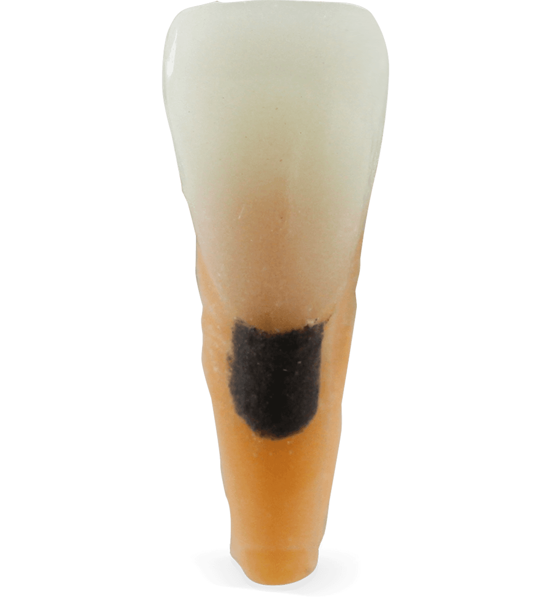 Selected product image