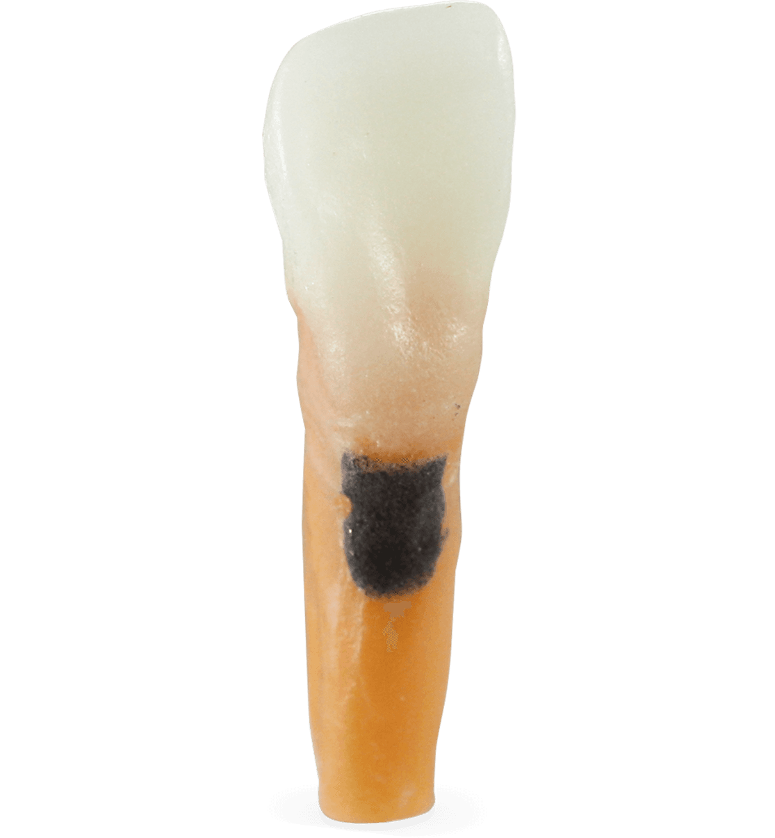 Selected product image