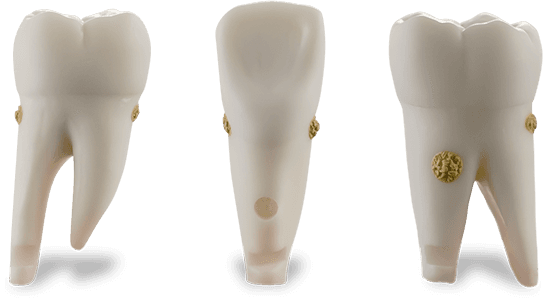 Selected product image