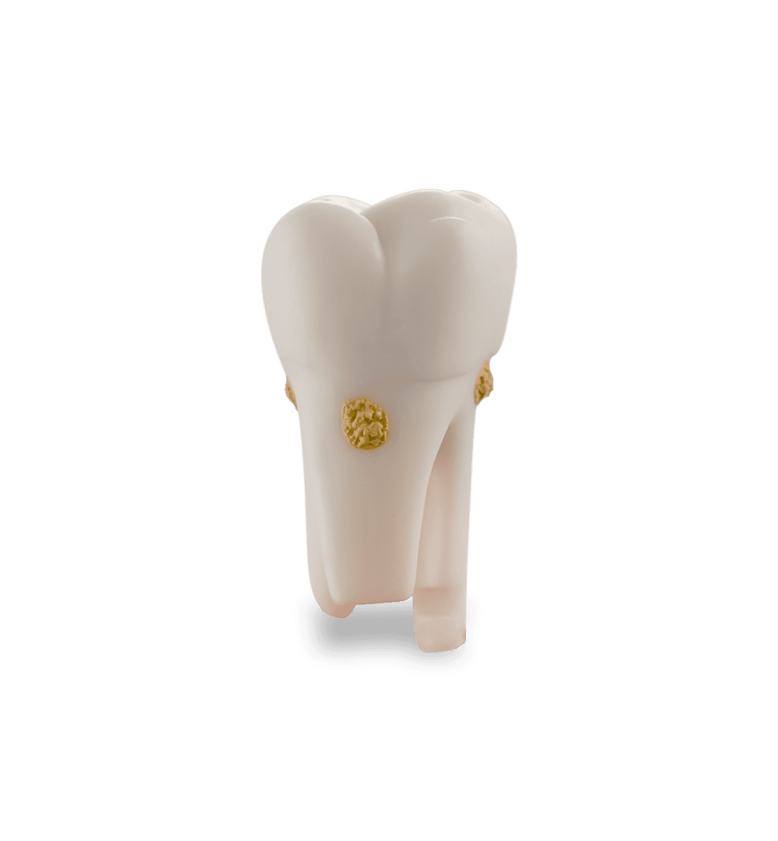Selected product image