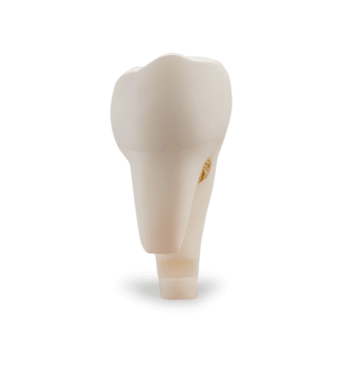 Selected product image