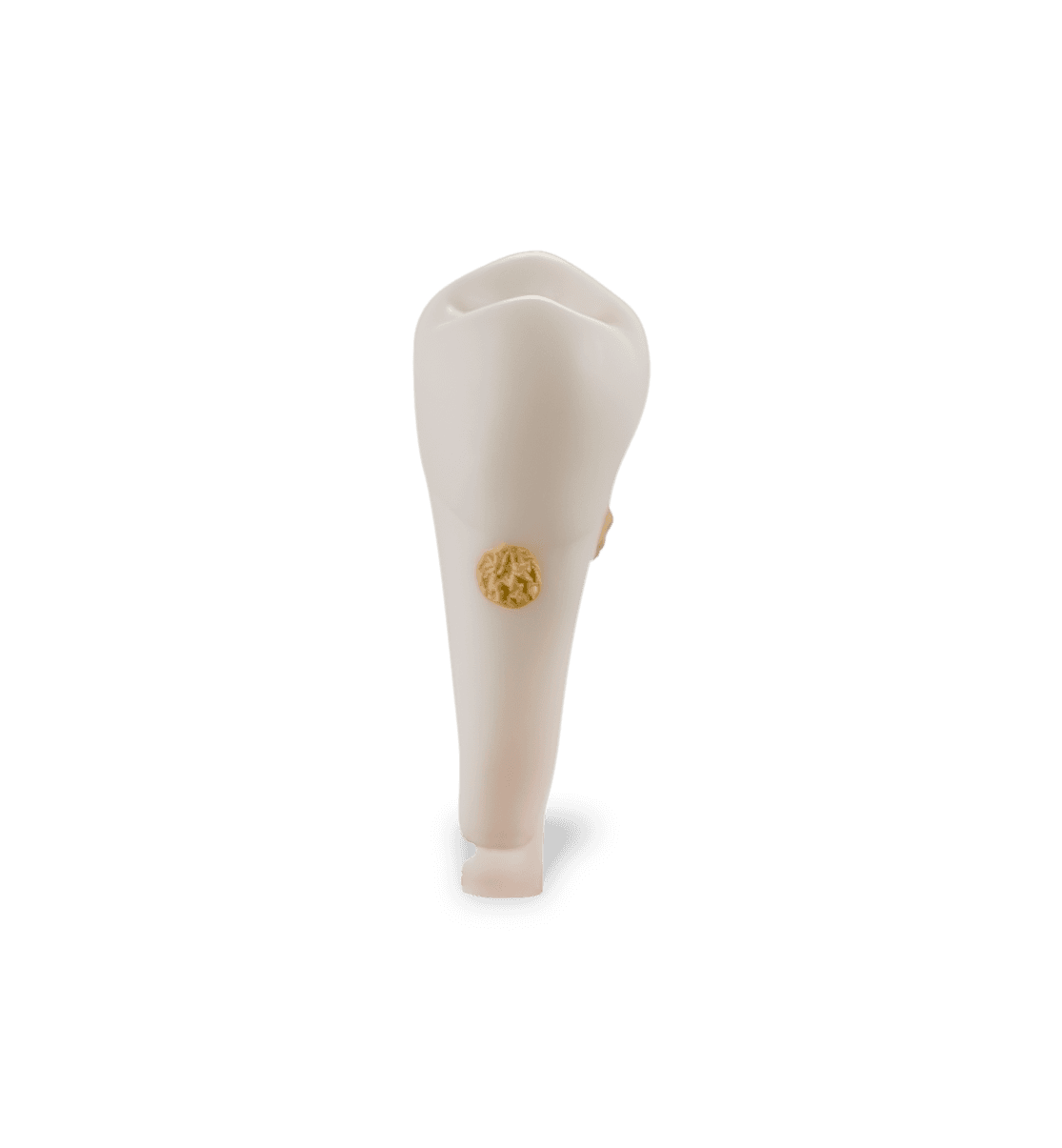 Selected product image