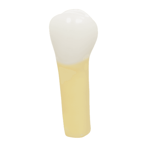 Selected product image