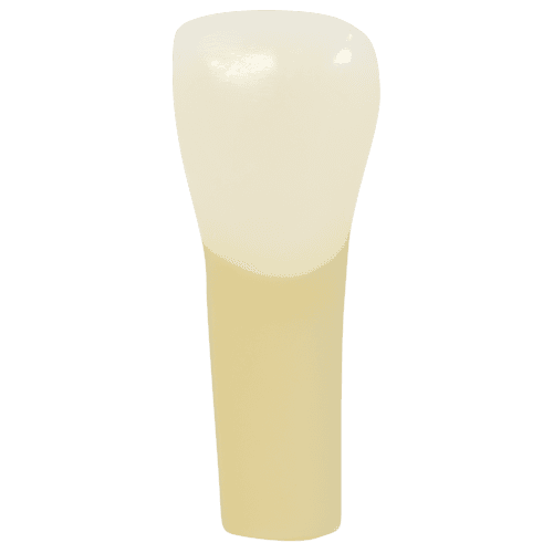 Selected product image