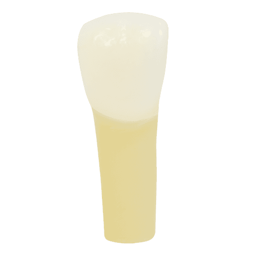 Selected product image